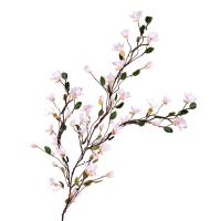 uploads/erp/collection/images/Home Garden/CongDing/XU0612317/img_b/XU0612317_img_b_5